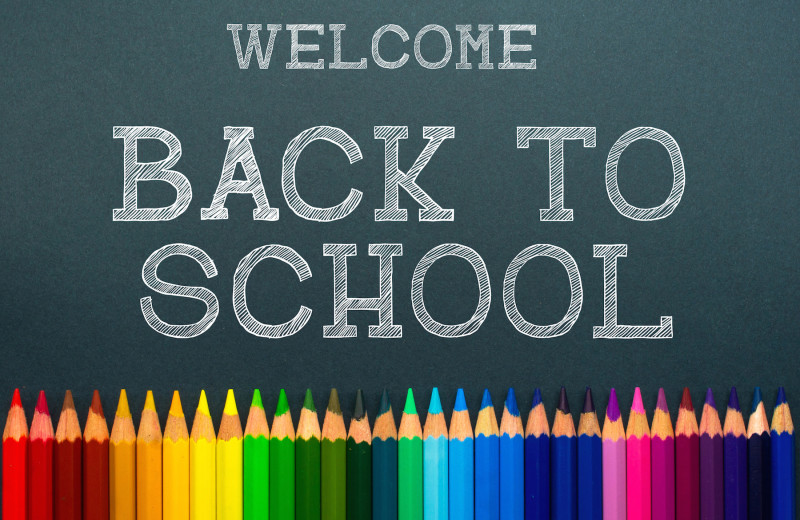 Welcome Back! » Elmwood Junior School